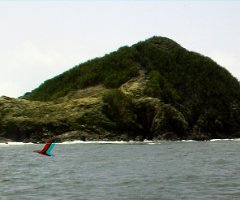 16-Manuel Antonio-260